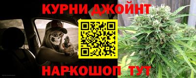 индика Новозыбков