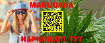 индика Новозыбков