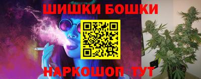 индика Новозыбков