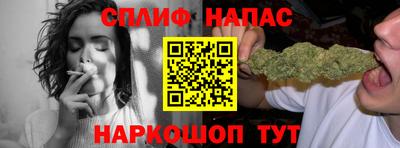 индика Новозыбков
