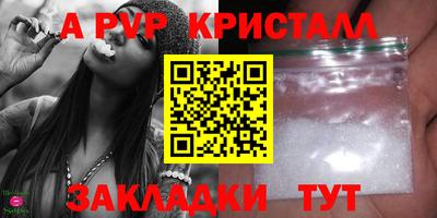 шишки Обь
